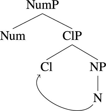A linguistic syntax tree diagram showing the hierarchical structure of a Number Phrase branching into a Classifier Phrase and Noun.