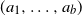 left parenthesis a 1 comma ellipsis comma a Subscript b Baseline right parenthesis
