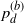 p Subscript d Superscript left parenthesis b right parenthesis