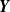 bold italic upper Y