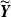 bold italic upper Y overtilde