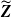 bold italic upper Z overtilde