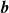 bold italic b