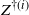 upper Z Superscript dagger left parenthesis i right parenthesis