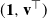 left parenthesis bold 1 comma bold v Superscript down tack Baseline right parenthesis