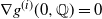 nabla g Superscript left parenthesis i right parenthesis Baseline left parenthesis 0 comma double struck upper Q right parenthesis equals 0