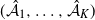 left parenthesis ModifyingAbove script upper A With caret Subscript 1 Baseline comma ellipsis comma ModifyingAbove script upper A With caret Subscript upper K Baseline right parenthesis