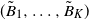 left parenthesis upper B overtilde Subscript 1 Baseline comma ellipsis comma upper B overtilde Subscript upper K Baseline right parenthesis
