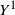 upper Y Superscript 1