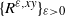 left brace upper R Superscript epsilon comma x y Baseline right brace Subscript epsilon greater than 0
