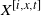 upper X Superscript left bracket i comma x comma t right bracket