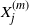 upper X Subscript j Superscript left parenthesis m right parenthesis