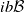 i b script upper B