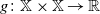 g colon double struck upper X times double struck upper X right arrow double struck upper R