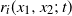 r Subscript i Baseline left parenthesis x 1 comma x 2 semicolon t right parenthesis