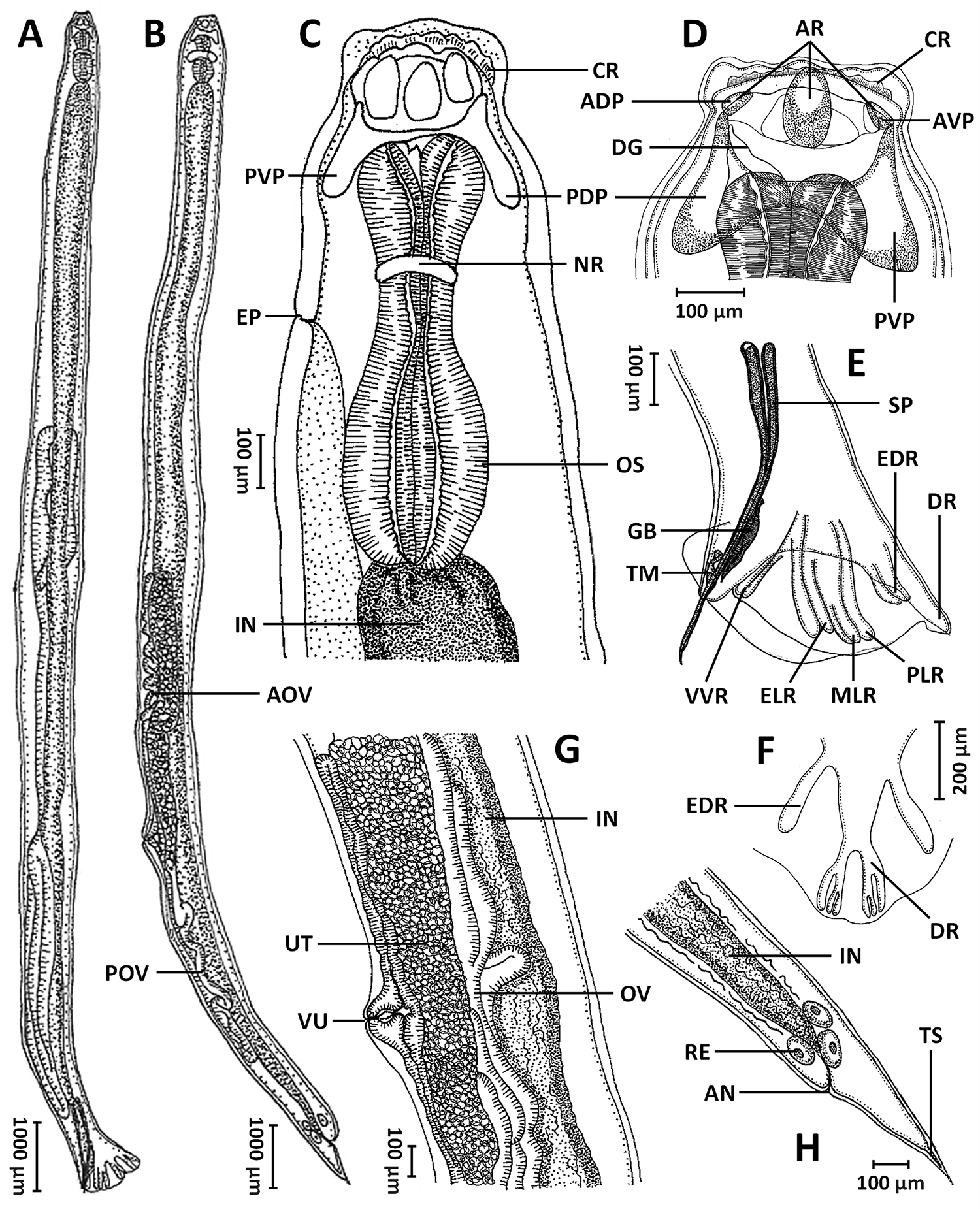 Figure 0