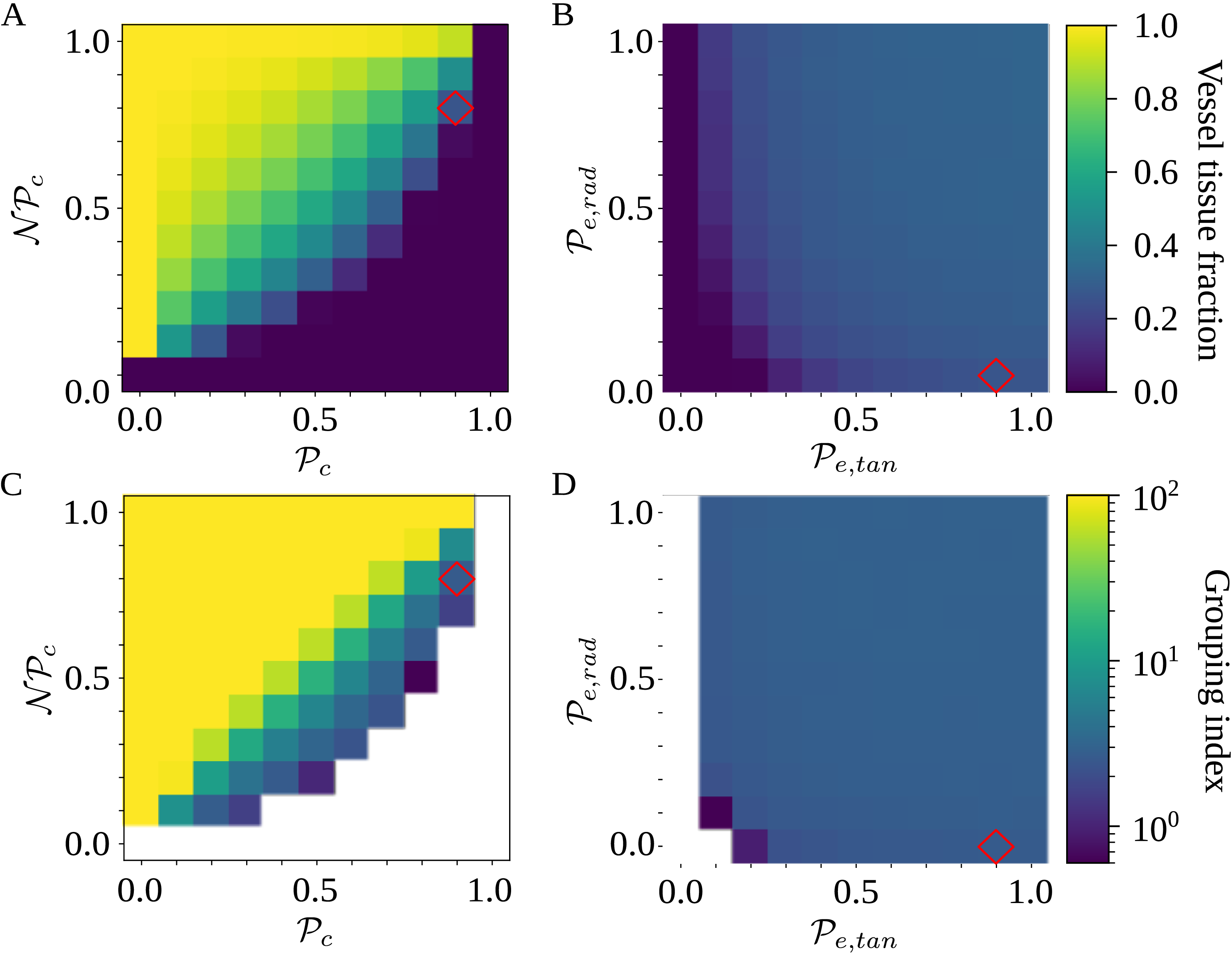 Four heatmaps depict the optimization of probability parameters for xylem network construction.