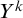 upper Y Superscript k