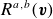 upper R Superscript a comma b Baseline left parenthesis bold italic v right parenthesis