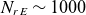 upper N Subscript r upper E Baseline tilde 1000