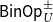sans serif upper B sans serif i sans serif n sans serif upper O sans serif p Subscript upper U Superscript plus or minus