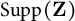 Supp left parenthesis bold upper Z right parenthesis