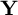 bold upper Y