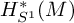 upper H Subscript upper S Sub Superscript 1 Superscript asterisk Baseline left parenthesis upper M right parenthesis