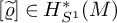 left bracket rho overtilde right bracket element of upper H Subscript upper S Sub Superscript 1 Superscript asterisk Baseline left parenthesis upper M right parenthesis
