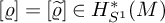 left bracket rho right bracket equals left bracket rho overtilde right bracket element of upper H Subscript upper S Sub Superscript 1 Superscript asterisk Baseline left parenthesis upper M right parenthesis