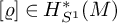 left bracket rho right bracket element of upper H Subscript upper S Sub Superscript 1 Superscript asterisk Baseline left parenthesis upper M right parenthesis