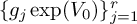 left brace g Subscript j Baseline exp left parenthesis upper V 0 right parenthesis right brace Subscript j equals 1 Superscript r