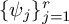 left brace psi Subscript j Baseline right brace Subscript j equals 1 Superscript r