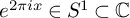 e Superscript 2 pi i x Baseline element of upper S Superscript 1 Baseline subset of double struck upper C