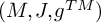 left parenthesis upper M comma upper J comma g Superscript upper T upper M Baseline right parenthesis