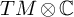 upper T upper M circled times double struck upper C