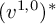 left parenthesis v Superscript 1 comma 0 Baseline right parenthesis Superscript asterisk