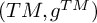 left parenthesis upper T upper M comma g Superscript upper T upper M Baseline right parenthesis