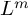 upper L Superscript m