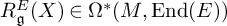 upper R Subscript German g Superscript upper E Baseline left parenthesis upper X right parenthesis element of normal upper Omega Superscript asterisk Baseline left parenthesis upper M comma upper E n d left parenthesis upper E right parenthesis right parenthesis