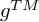 g Superscript upper T upper M