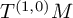 upper T Superscript left parenthesis 1 comma 0 right parenthesis Baseline upper M