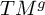 upper T upper M Superscript g