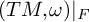 left parenthesis upper T upper M comma omega right parenthesis vertical bar Subscript upper F Baseline