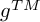 g Superscript upper T upper M