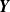 bold italic upper Y