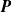 bold italic upper P