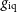 g Subscript iq