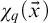 chi Subscript q Baseline left parenthesis ModifyingAbove x With right arrow right parenthesis