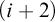 left parenthesis i plus 2 right parenthesis